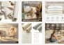 do amazon product listing images, ebc, infographics, lifestyle shots that sell